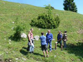 Auf einer mit niedrigen Büschen bestandenen Almwiese diskutiert eine Gruppe von Experten über die künftige Bewirtschaftung der Fläche.