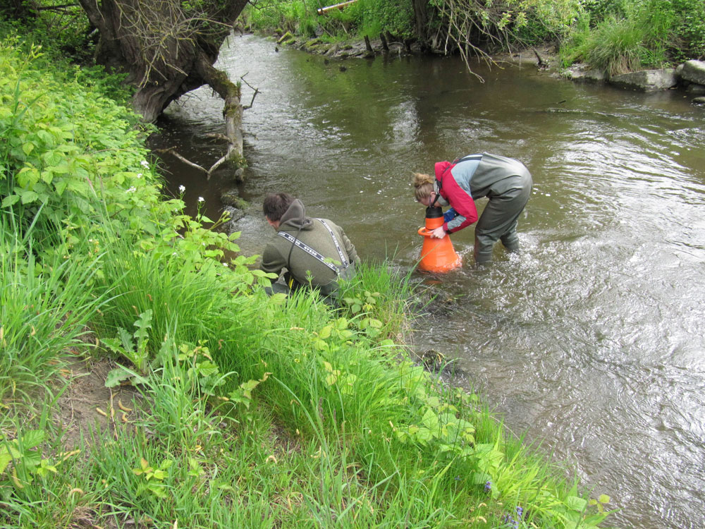 Benedikt Beck und Katharina Amelung stehen mit Wathosen kniehoch im Fluss. Katharina Amelung hält ein Aquascope in den Händen. Mit diesem Gerät kann man – wie mit einer Taucherbrille – unter die oft spiegelnde Wasseroberfläche blicken.