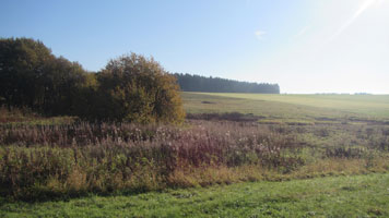 Blick in die Landschaft, die neben kurz gemähten Wiesen auch wilde Sträucher und ungemähte Flächen mit hohem Bewuchs umfasst.