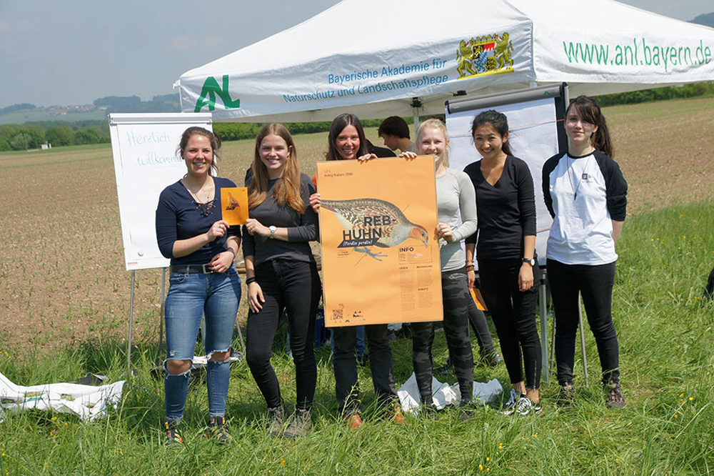 Sechs Schülerinnen stehen im Freien auf einem Feld und halten ein Info-Plakat über das Rebhuhn.