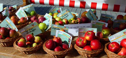 In kleinen Körben sind verschiedene alte Apfelsorten auf einem Marktstand zu sehen.