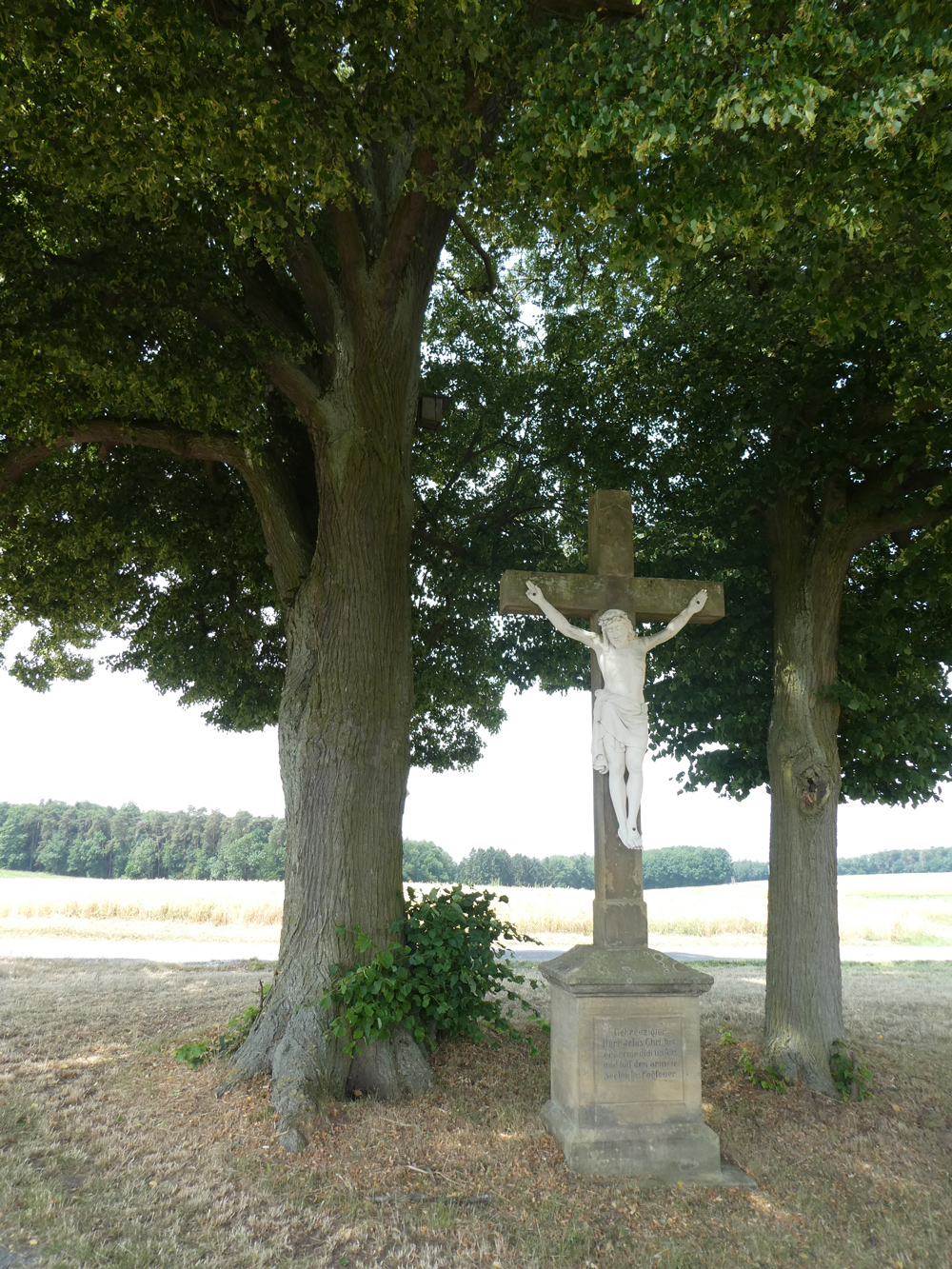 Zwei alte Linden neben einem alten Feldkreuz.