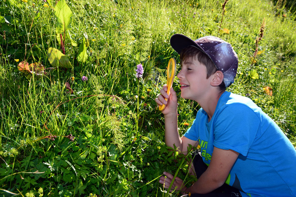 Ein Junge sitzt in einer Wiese und betrachtet durch eine Lupe eine violette Orchideenblüte.