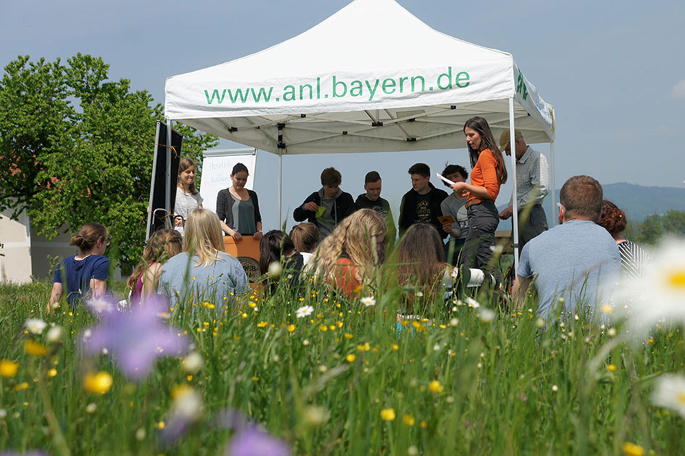 Eine Gruppe von Jugendlichen steht im Schatten unter einem weißen Zeltdach, das auf einer Wiese voller bunter Blumen steht.