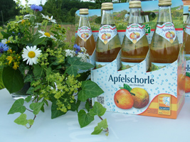 Auf einer weißen Auslage steht neben einem Wildblumenstrauß gefüllte Saftflaschen in einem Karton mit der Aufschrift Apfelschorle aus Direktsaft und Juradistl-Obst.