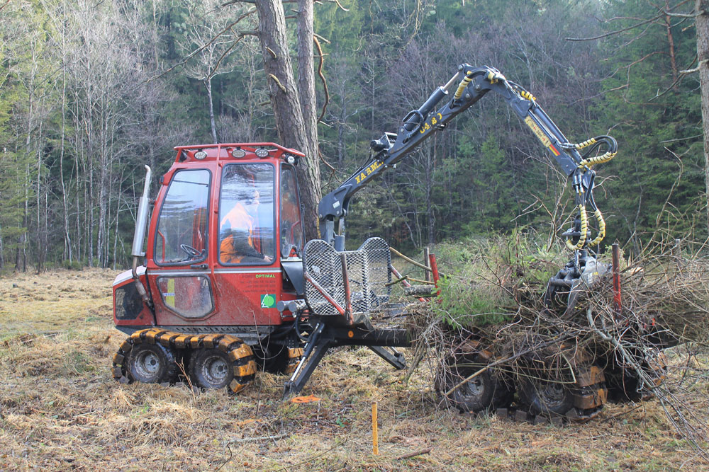 Mit einem Kettenfahrzeug werden gefällte Bäume und Sträucher aus dem Moor transportiert.