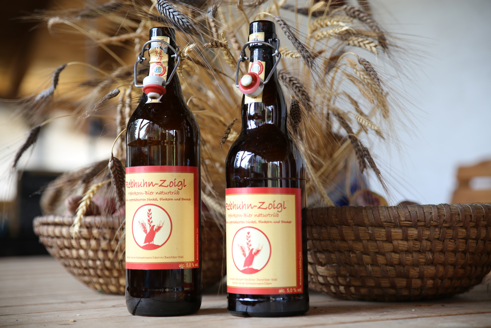 Ein Bund Getreide steckt hinter zwei Bierflaschen mit geöffneten Bügelverschlüssen und Etiketten mit der Aufschrift Rebhuhn-Zoigl.