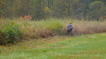 Ein Landwirt mäht am Rand einer feuchten Wiese das hochgewachsene Schilf mit einem Handmähgerät.
