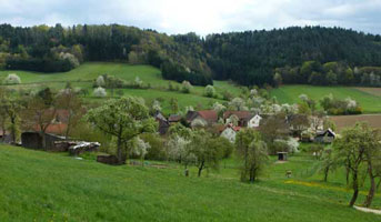 Panoramablick über alte Streuobstwiesen im Ort Kümmel im Landkreis Lichtenfels.