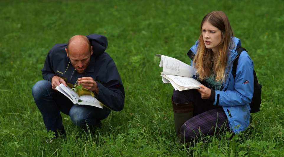 Zwei Personen knien auf einer Wiesen und machen Notizen zu ihren Pflanzenfunden.