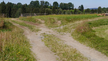 Feldweg mit feinem Material