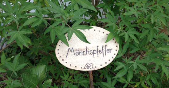 Beschildeter Mönchspfeffer im Klostergarten