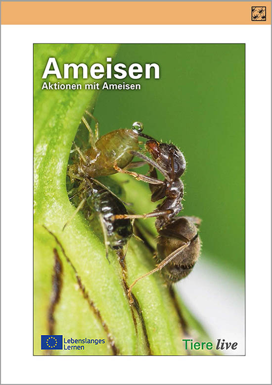 Titelbild des Ameisenkapitels