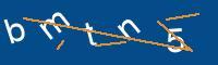 Captcha eingeben
