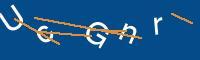 Captcha eingeben