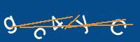 Captcha eingeben