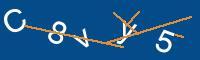 Captcha eingeben