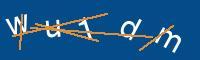 Captcha eingeben