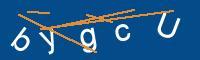 Captcha eingeben