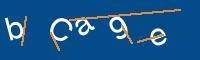 Captcha eingeben