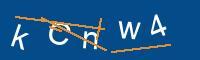 Captcha eingeben