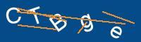 Captcha eingeben
