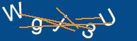 Captcha eingeben