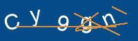 Captcha eingeben