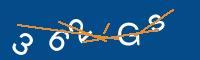 Captcha eingeben