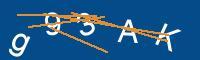 Captcha eingeben