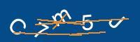 Captcha eingeben