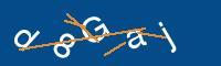 Captcha eingeben
