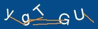 Captcha eingeben