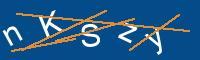 Captcha eingeben