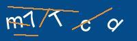 Captcha eingeben