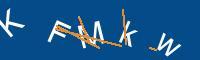 Captcha eingeben
