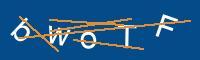 Captcha eingeben