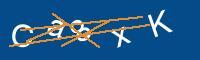 Captcha eingeben