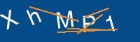 Captcha eingeben