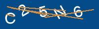 Captcha eingeben