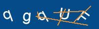 Captcha eingeben