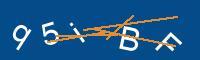 Captcha eingeben