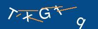 Captcha eingeben