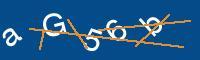 Captcha eingeben