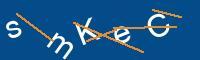 Captcha eingeben