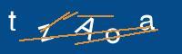 Captcha eingeben