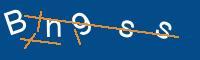Captcha eingeben
