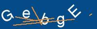 Captcha eingeben