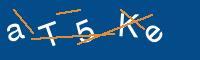 Captcha eingeben