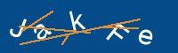 Captcha eingeben